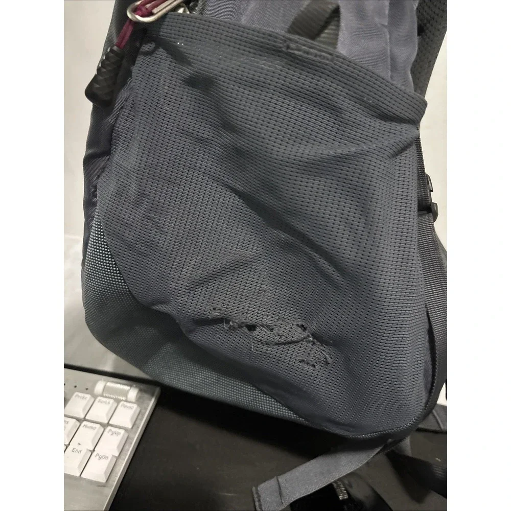 The North Face Borealis Gray Backpack Inside Stains And Ripped Pocket